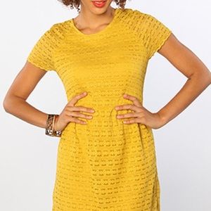 Free People candy woven lace dress